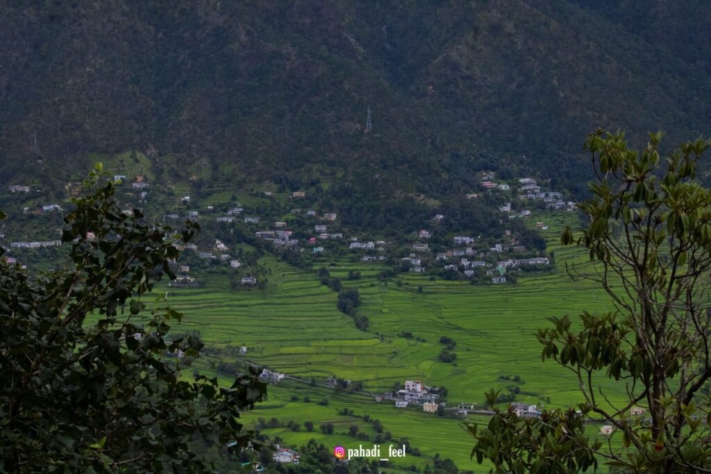 बाघ के आतंक से ग्रामीणों की नीद उड़ गई और प्रशासन घोड़े बेचकर सोया रहा